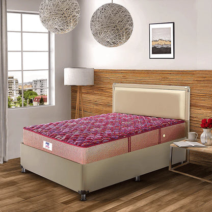 PEPS Springkoil Normal Top 6 inch  Bonnell Spring Mattress,