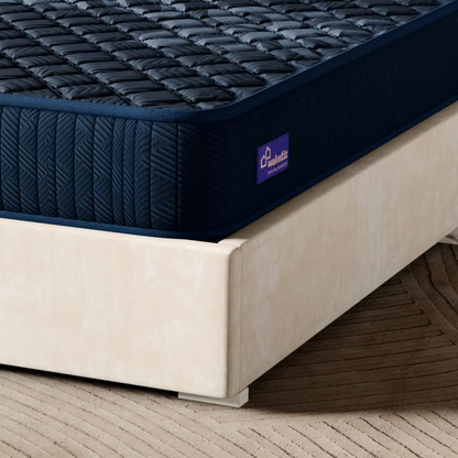 Wakefit Ortho Plus ActiveCool Mattress