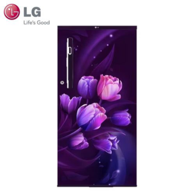 LG 185 L Direct Cool Single Door 1 Star Refrigerator GL-B199OSTB,